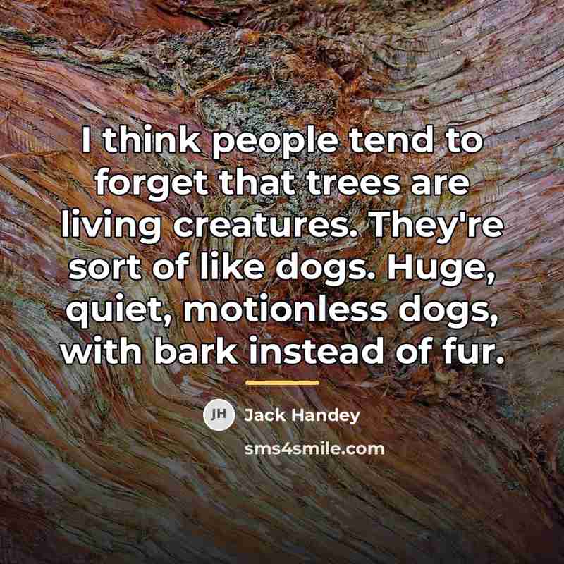 “I think people tend to forget that trees are living…” quote by Jack Handey