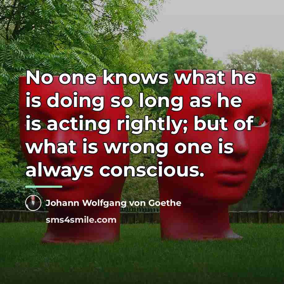 “No one knows what he is doing so long as…” quote by Johann Wolfgang von Goethe
