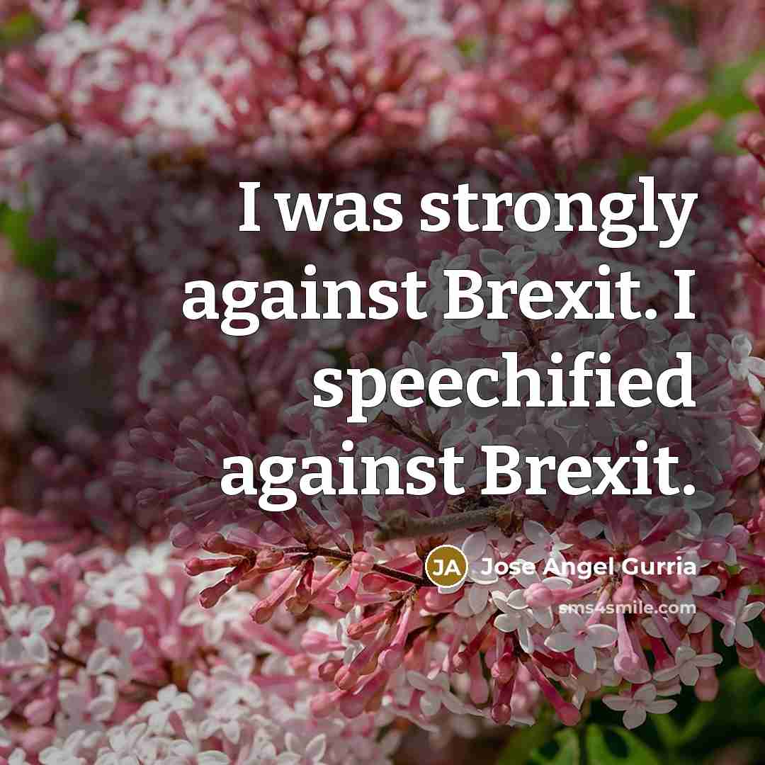 “I was strongly against Brexit. I speechified against Brexit.…” quote by Jose Angel Gurria