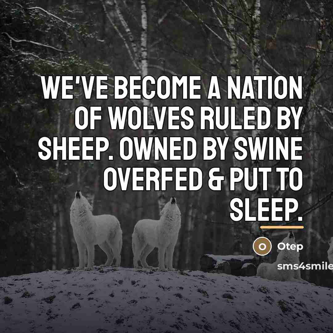 “We've become a nation of wolves ruled by sheep. Owned…” quote by Otep