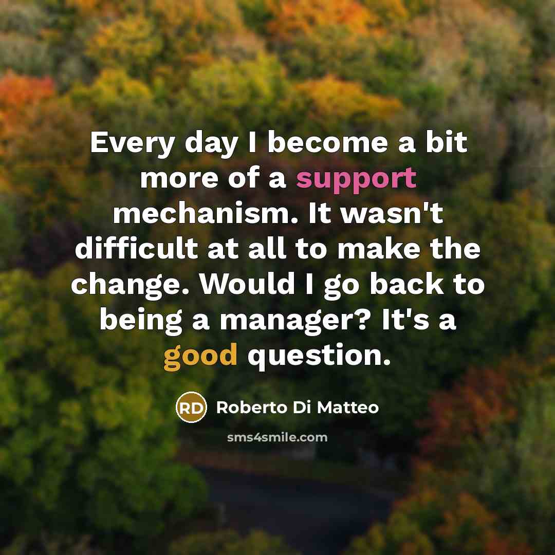 “Every day I become a bit more of a support…” quote by Roberto Di Matteo