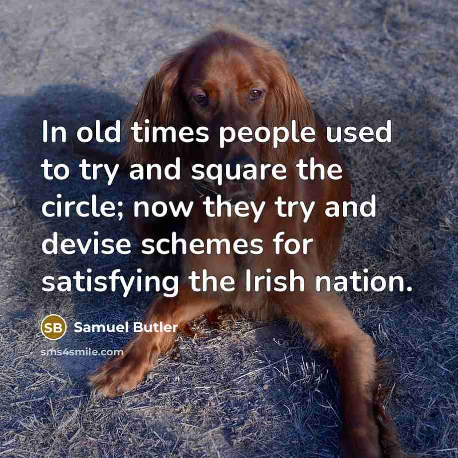 “In old times people used to try and square the circle; now they try and devise schemes for satisfying the Irish nation.” quote by Samuel Butler
