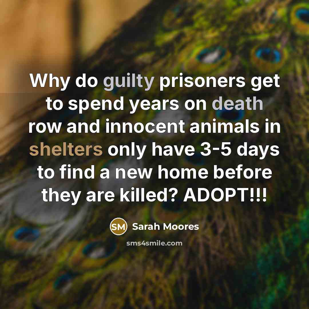 “Why do guilty prisoners get to spend years on death row and innocent animals in shelters only have 3-5 days to find a new home before they are killed? ADOPT!!!” quote by Sarah Moores
