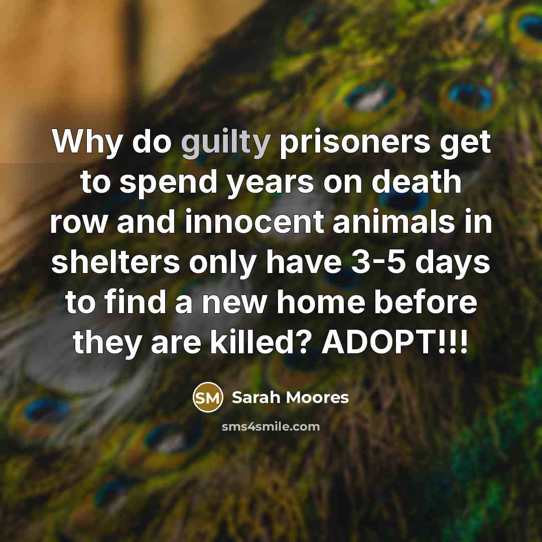 “Why do guilty prisoners get to spend years on death…” quote by Sarah Moores