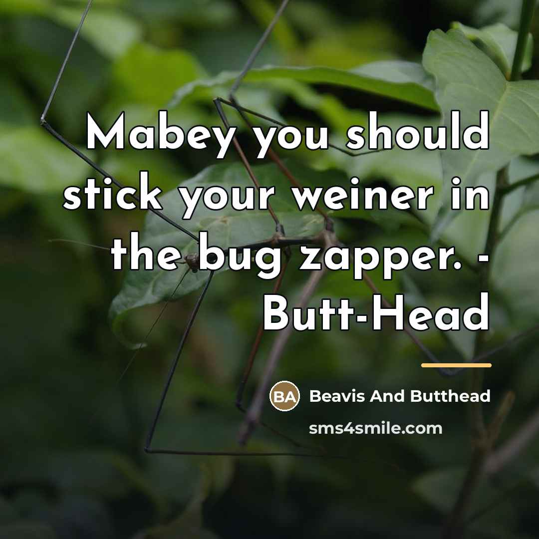 “Mabey you should stick your weiner in the bug zapper.…” quote by Beavis And Butthead