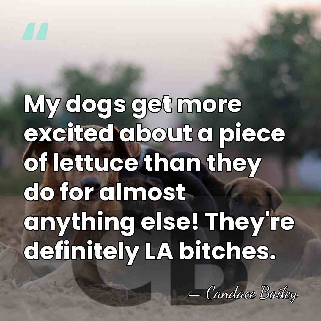 My dogs get more excited about a piece of lettuce than they&hellip; - Candace Bailey