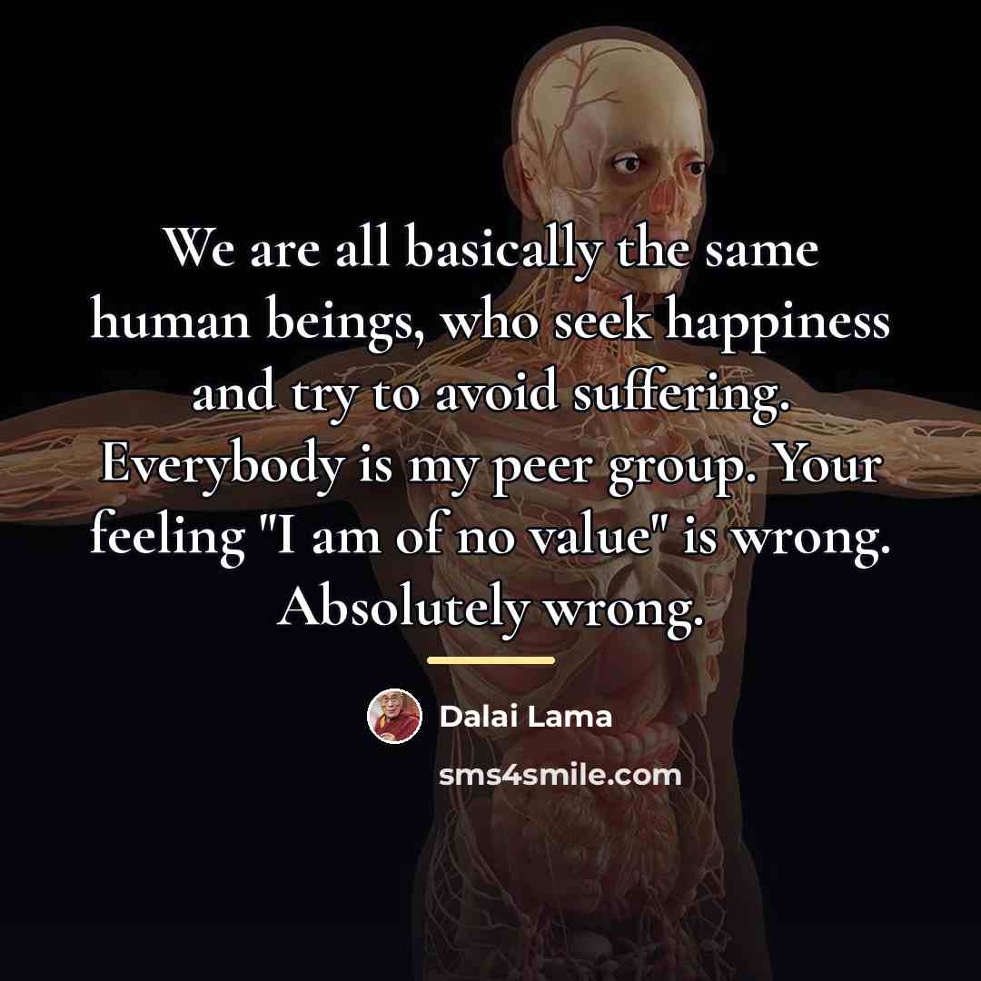 “We are all basically the same human beings, who seek…” quote by Dalai Lama
