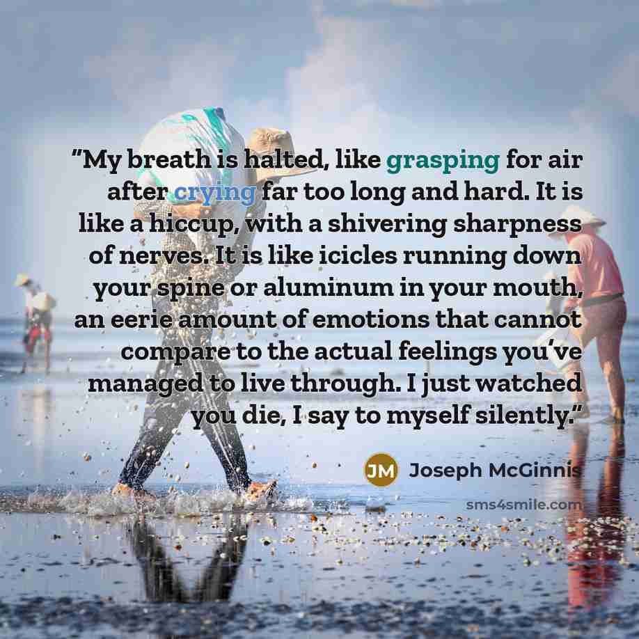 “My breath is halted, like grasping for air after crying far too long and hard. It is like a hiccup, with a shivering sharpness of nerves. It is like icicles running down your spine or aluminum in your mouth, an eerie amount of emotions that cannot compare to the actual feelings you’ve managed to…” quote by Joseph McGinnis
