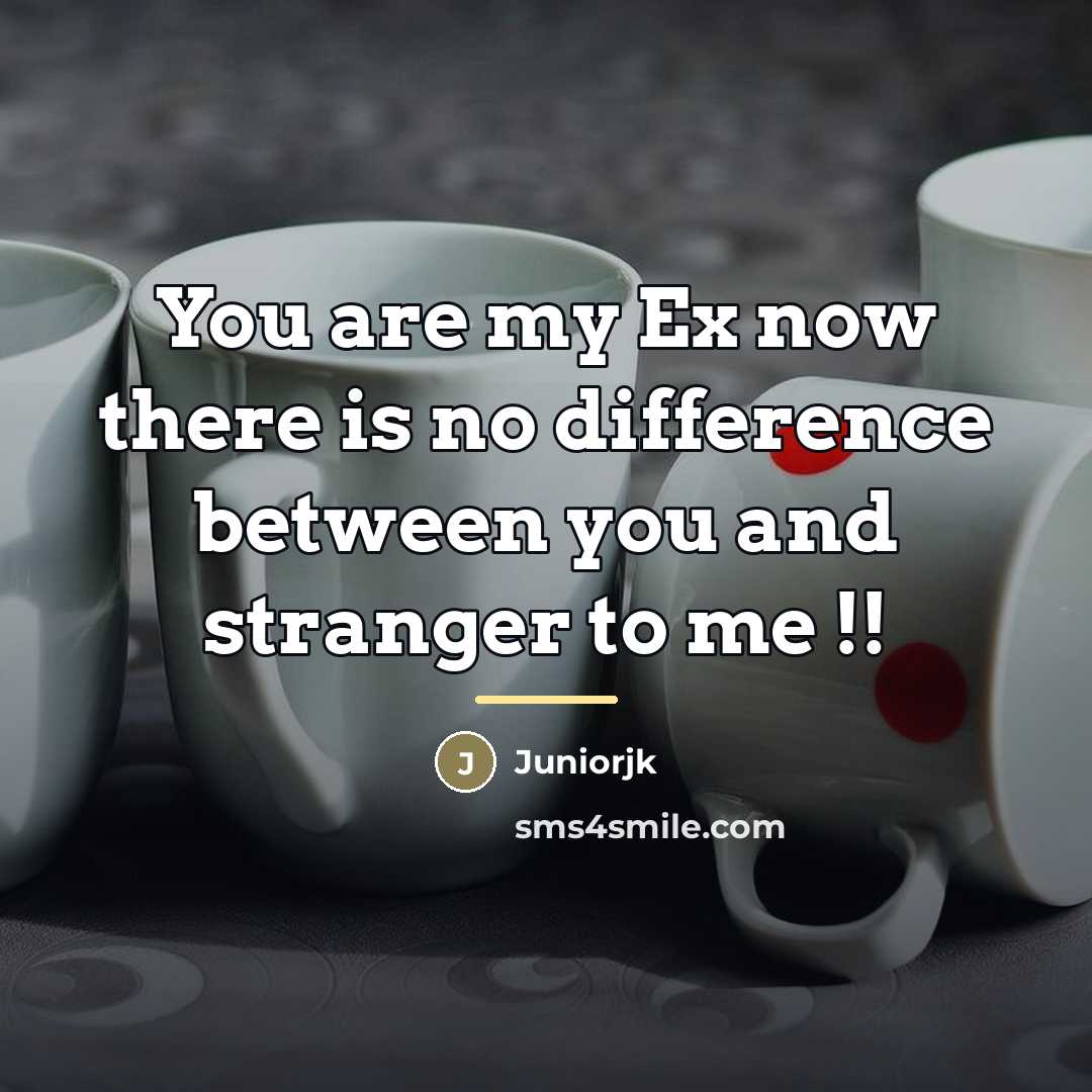 “You are my Ex now there is no difference between…” quote by Juniorjk