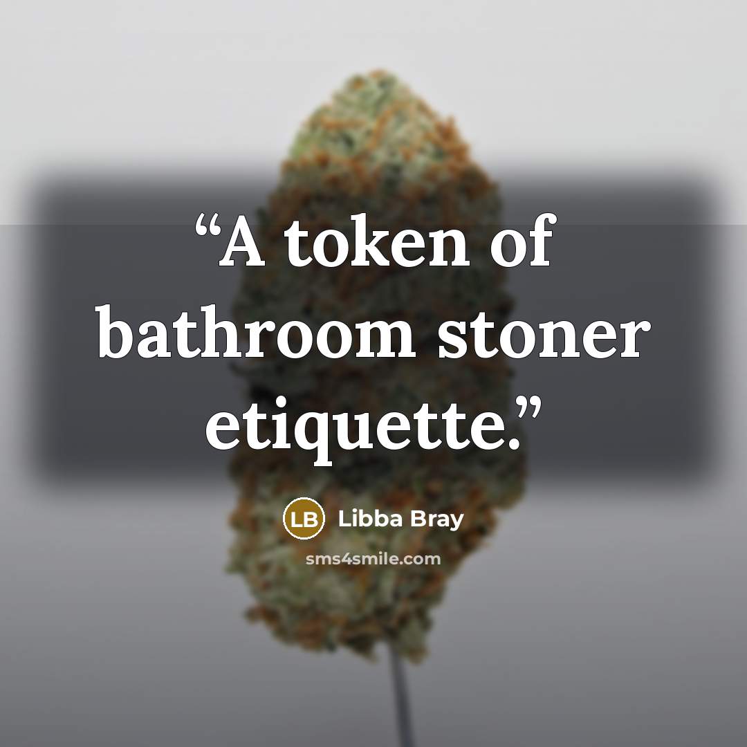 “A token of bathroom stoner etiquette.” quote by Libba Bray