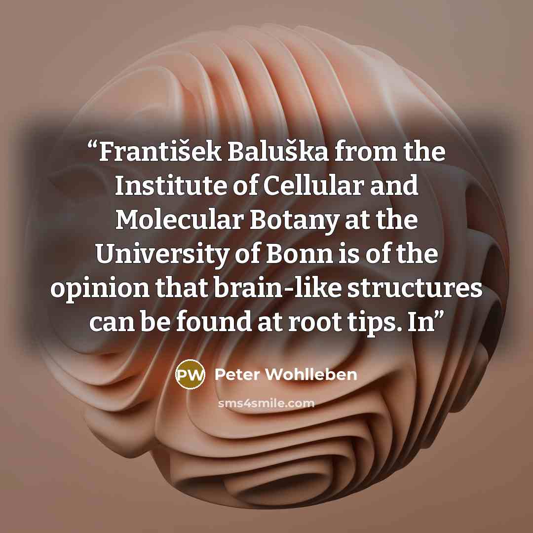 “František Baluška from the Institute of Cellular and Molecular Botany at the University of Bonn is of the opinion that brain-like structures can be found at root tips. In” quote by Peter Wohlleben