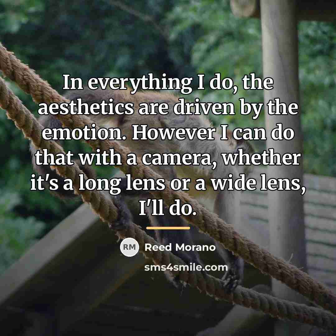 “In everything I do, the aesthetics are driven by the…” quote by Reed Morano