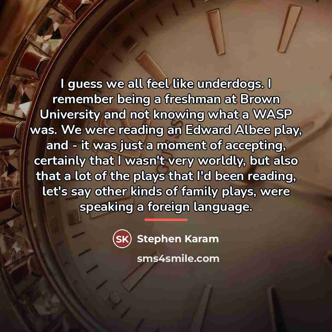“I guess we all feel like underdogs. I remember being…” quote by Stephen Karam