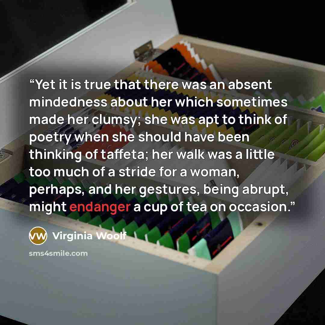 “Yet it is true that there was an absent mindedness about her which sometimes made her clumsy; she was apt to think of poetry when she should have been thinking of taffeta; her walk was a little too much of a stride for a woman, perhaps, and her gestures, being abrupt, might endanger a cup of tea…” quote by Virginia Woolf