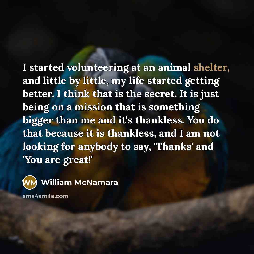 “I started volunteering at an animal shelter, and little by…” quote by William McNamara