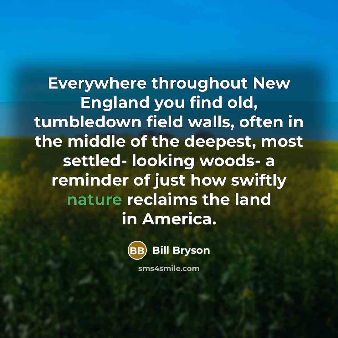 “Everywhere throughout New England you find old, tumbledown field walls,…” quote by Bill Bryson