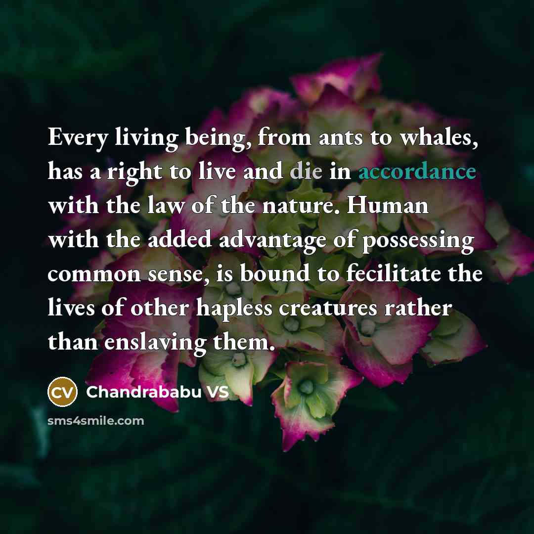 “Every living being, from ants to whales, has a right to live and die in accordance with the law of the nature. Human with the added advantage of possessing common sense, is bound to fecilitate the lives of other hapless creatures rather than enslaving them.” quote by Chandrababu VS