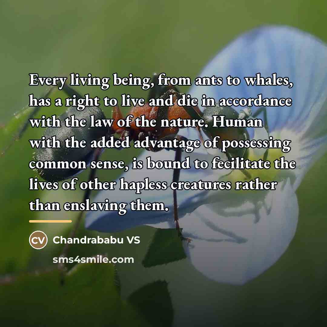 “Every living being, from ants to whales, has a right…” quote by Chandrababu VS