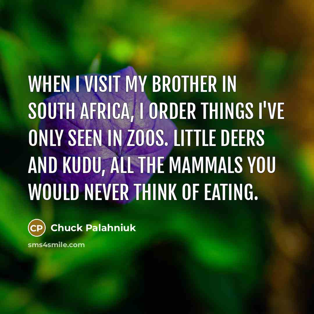 “When I visit my brother in South Africa, I order…” quote by Chuck Palahniuk