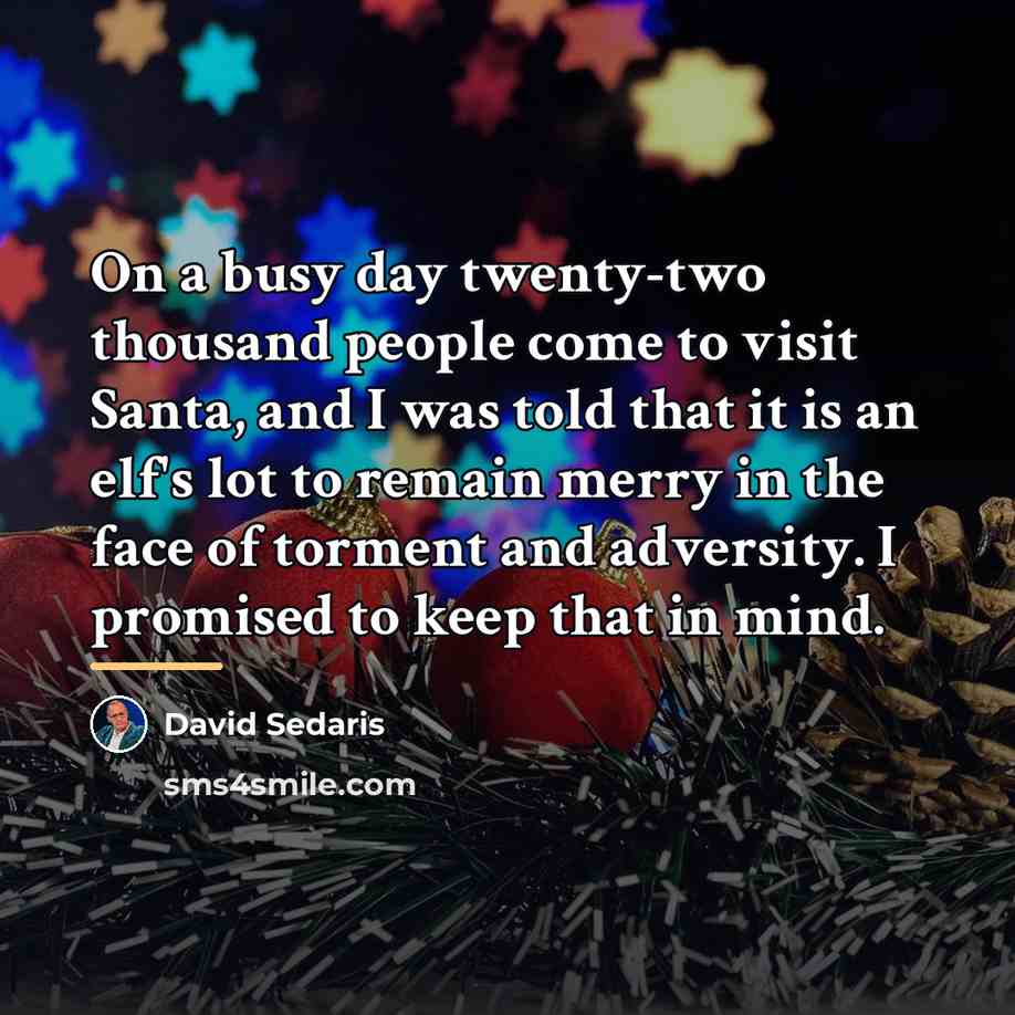 “On a busy day twenty-two thousand people come to visit…” quote by David Sedaris