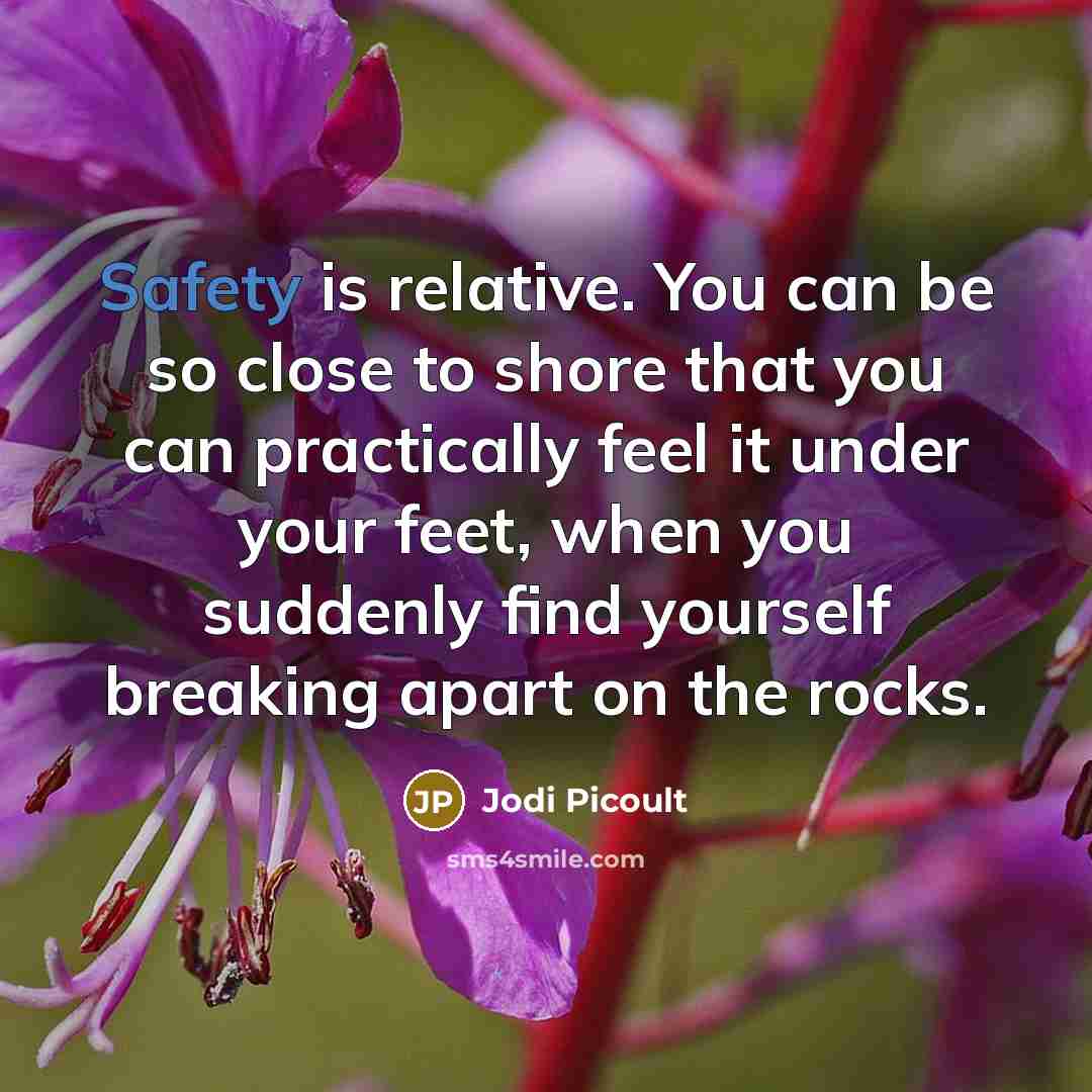 “Safety is relative. You can be so close to shore…” quote by Jodi Picoult