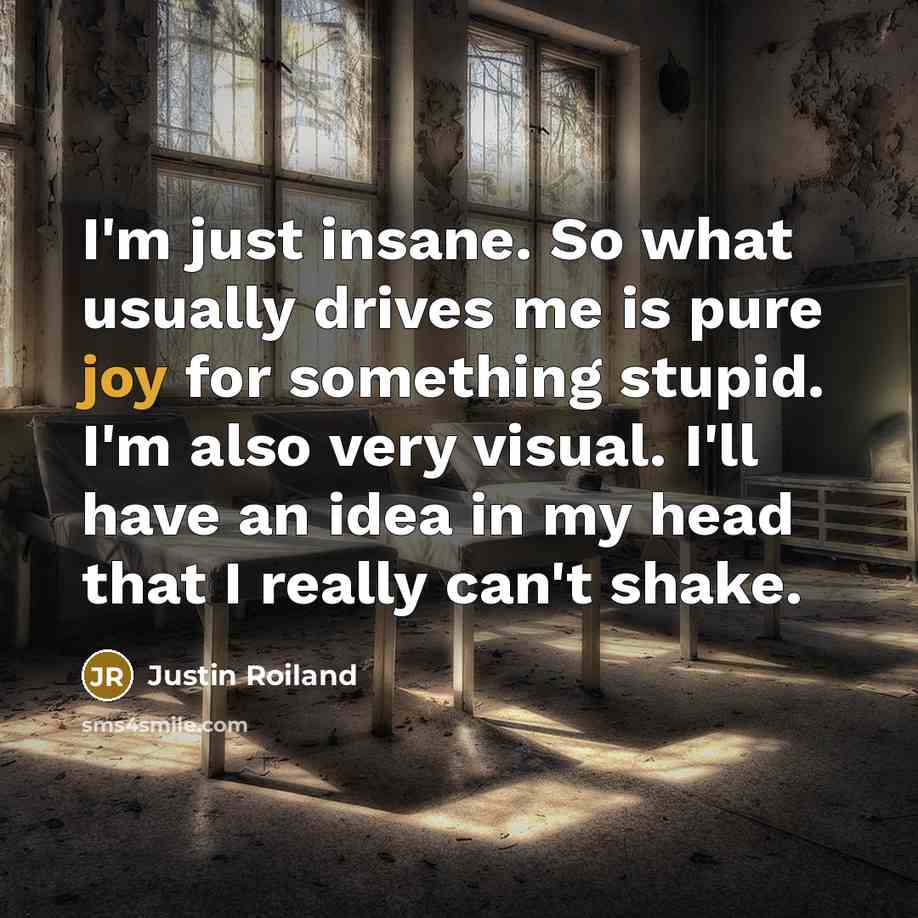 “I'm just insane. So what usually drives me is pure…” quote by Justin Roiland