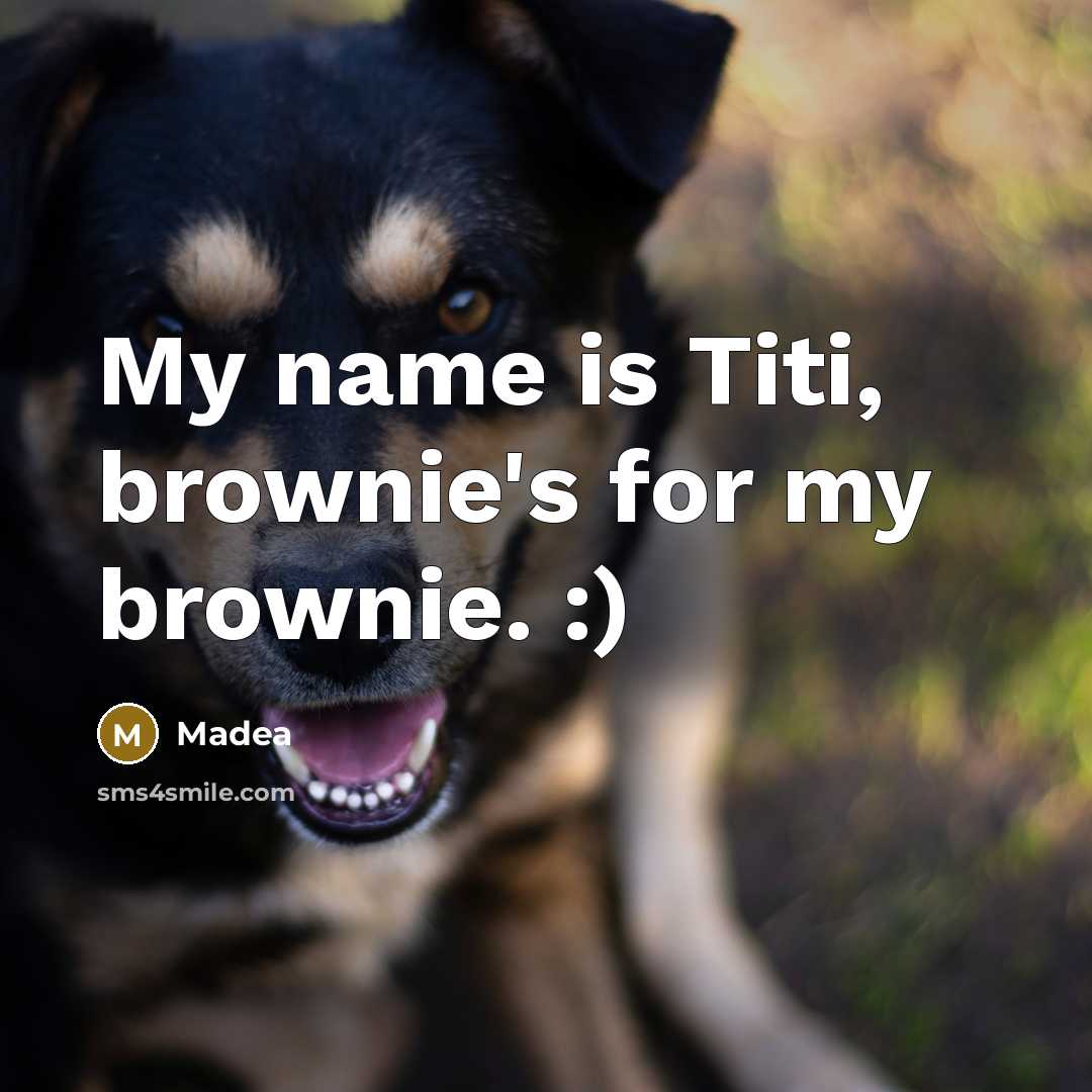 “My name is Titi, brownie's for my brownie. :)…” quote by Madea