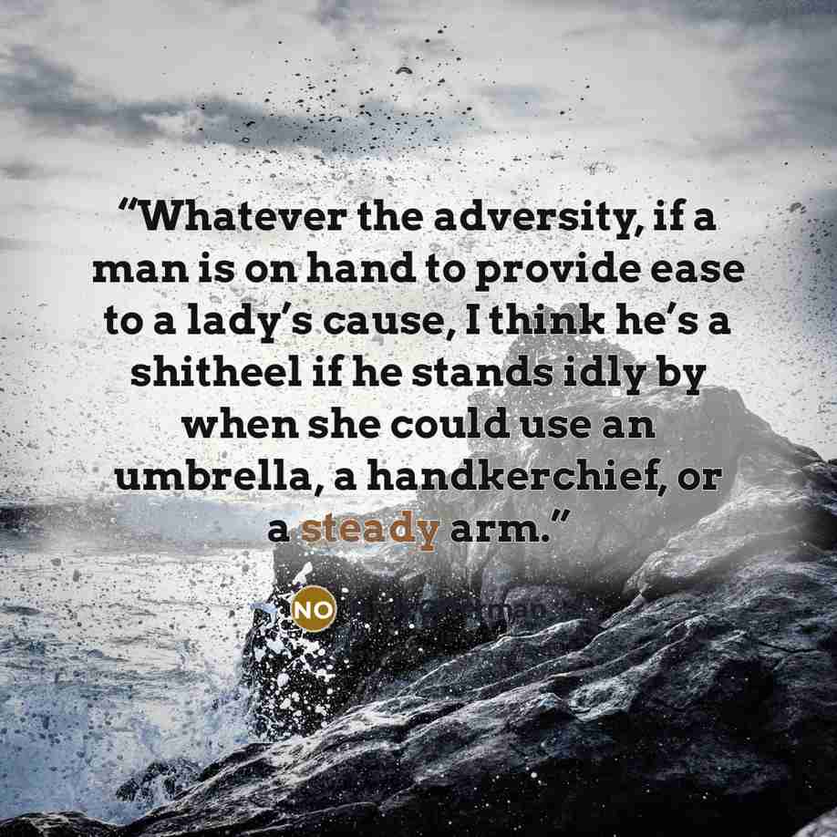 “Whatever the adversity, if a man is on hand to provide ease to a lady’s cause, I think he’s a shitheel if he stands idly by when she could use an umbrella, a handkerchief, or a steady arm.” quote by Nick Offerman