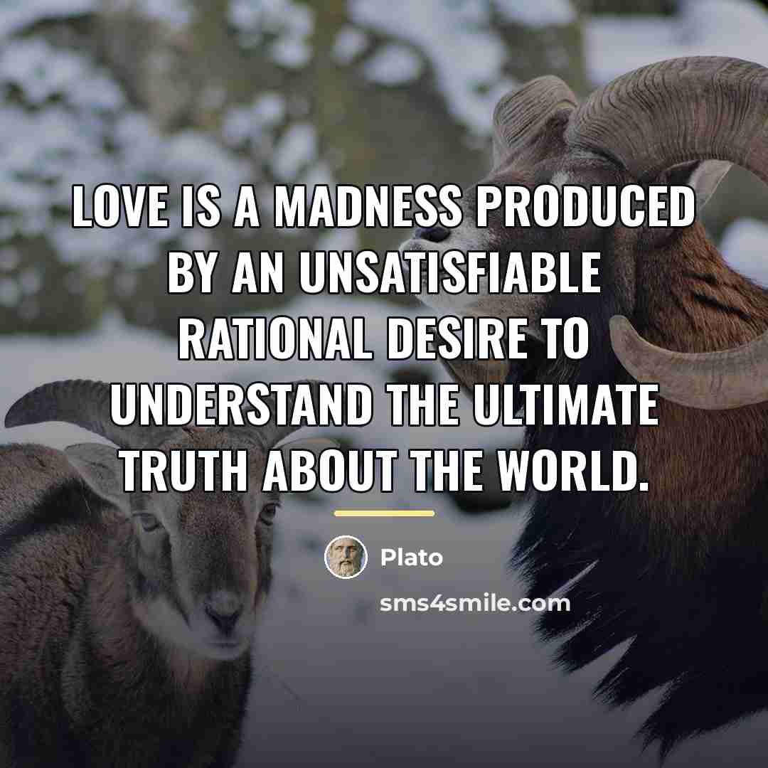 “Love is a madness produced by an unsatisfiable rational desire…” quote by Plato