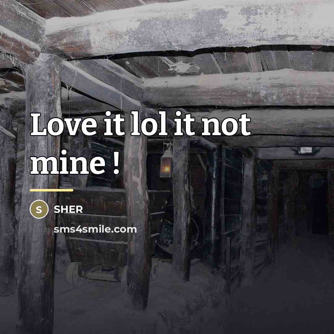 “Love it lol it not mine !…” quote by Sher