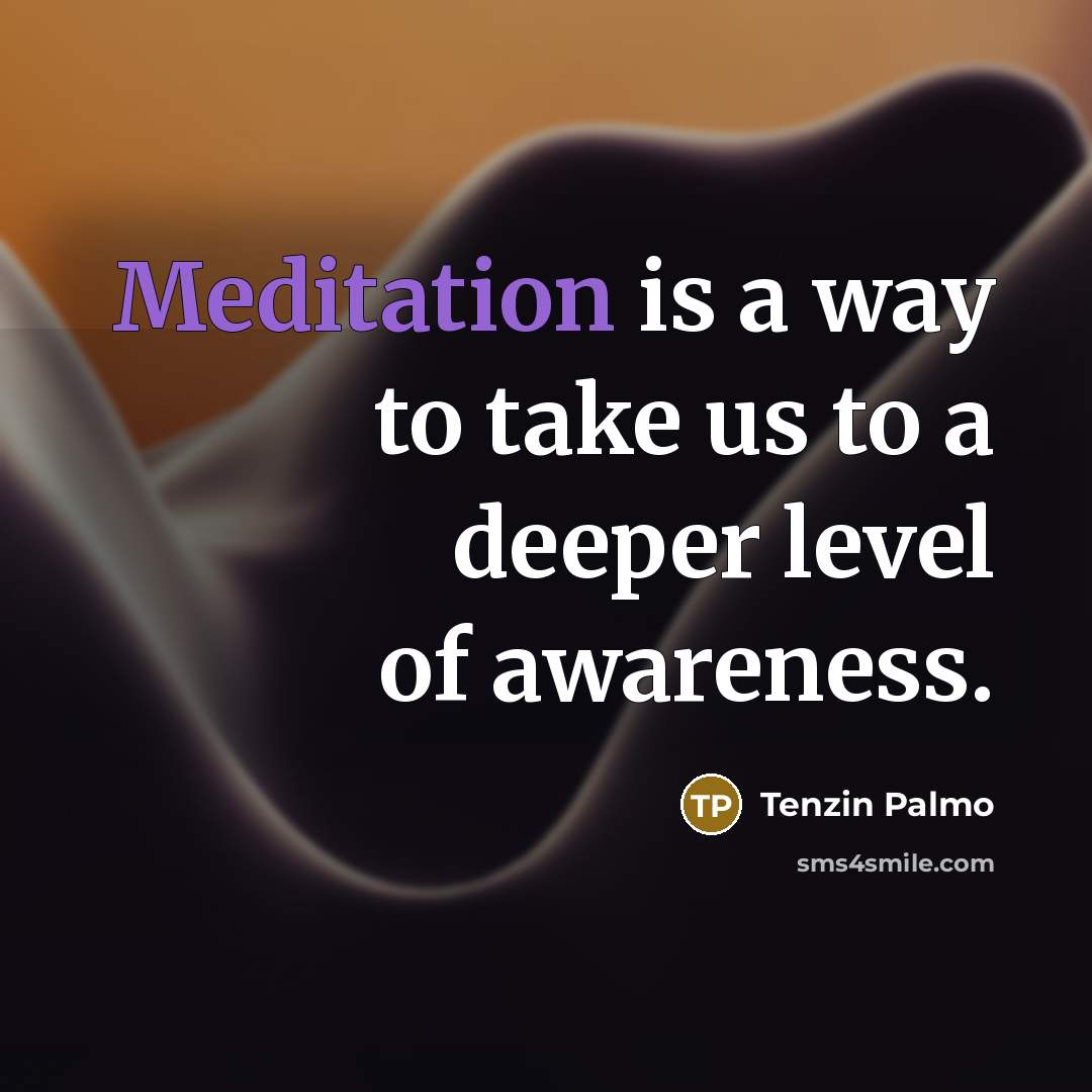 “Meditation is a way to take us to a deeper…” quote by Tenzin Palmo