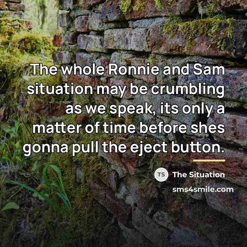 “The whole Ronnie and Sam situation may be crumbling as…” quote by The Situation