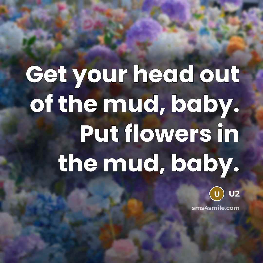 “Get your head out of the mud, baby. Put flowers…” quote by U2