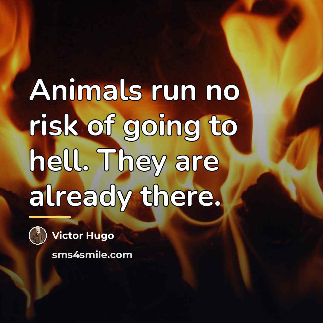 “Animals run no risk of going to hell. They are…” quote by Victor Hugo