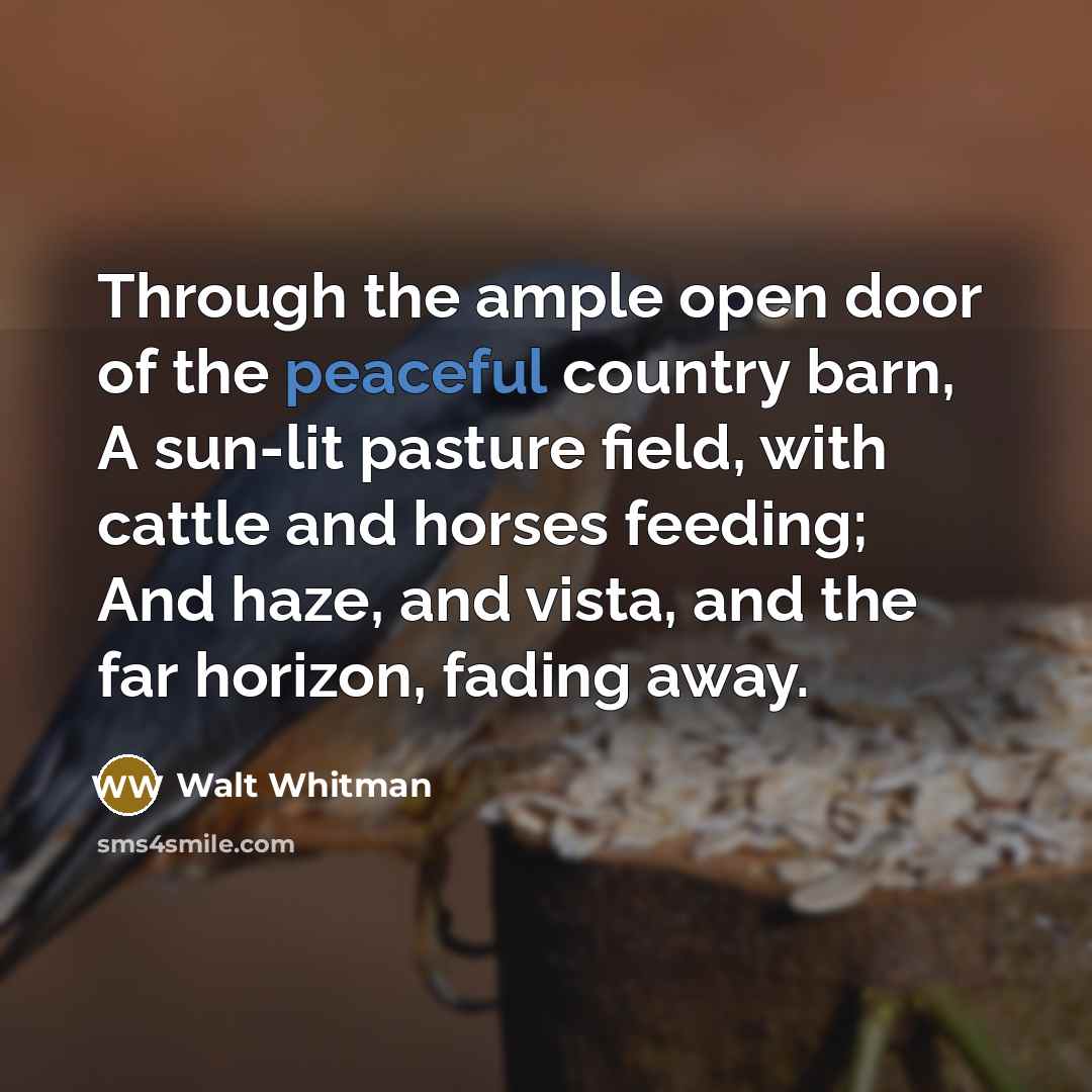 “Through the ample open door of the peaceful country barn,…” quote by Walt Whitman