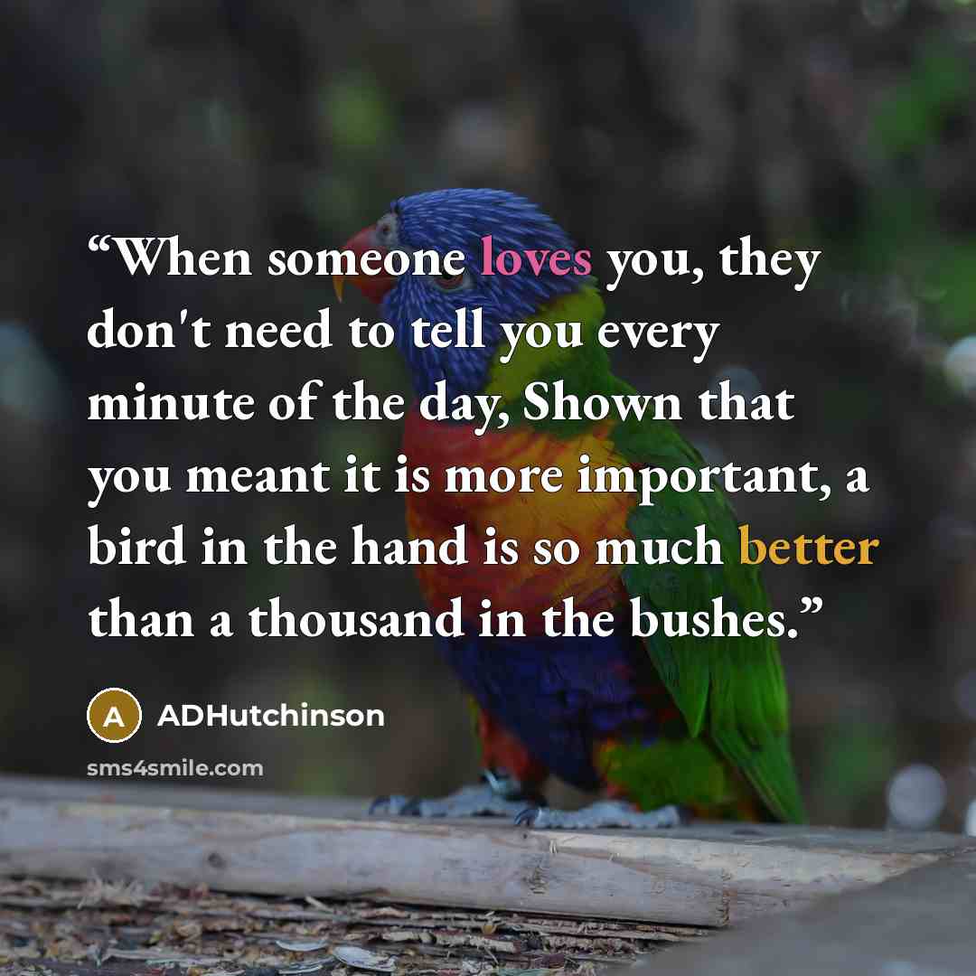 “When someone loves you, they don't need to tell you every minute of the day, Shown that you meant it is more important, a bird in the hand is so much better than a thousand in the bushes.” quote by ADHutchinson