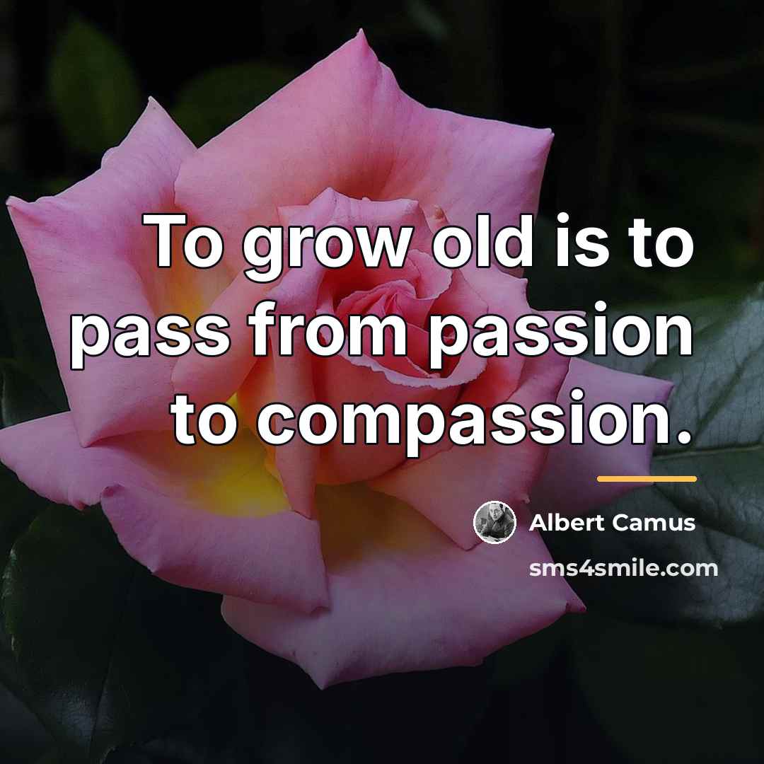 “To grow old is to pass from passion to compassion.…” quote by Albert Camus
