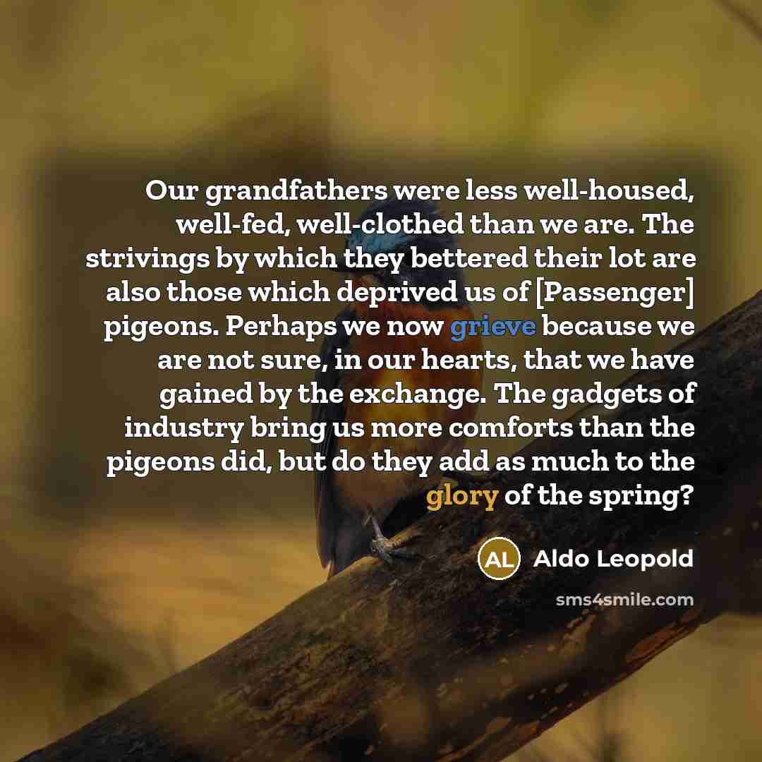 “Our grandfathers were less well-housed, well-fed, well-clothed than we are.…” quote by Aldo Leopold