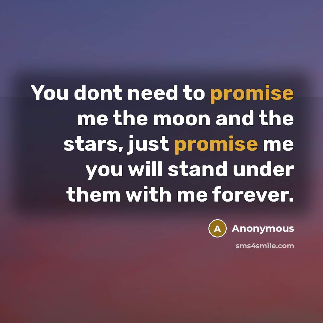 “You dont need to promise me the moon and the…” quote by Anonymous