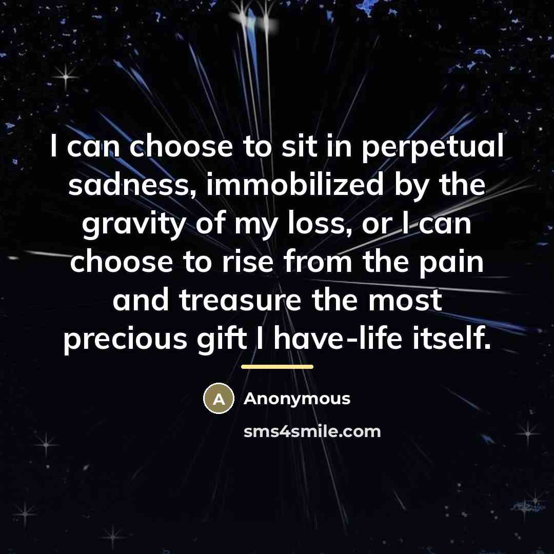 “I can choose to sit in perpetual sadness, immobilized by…” quote by Anonymous