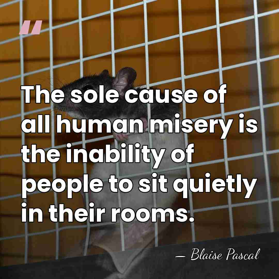 The sole cause of all human misery is the inability of people&hellip; - Blaise Pascal