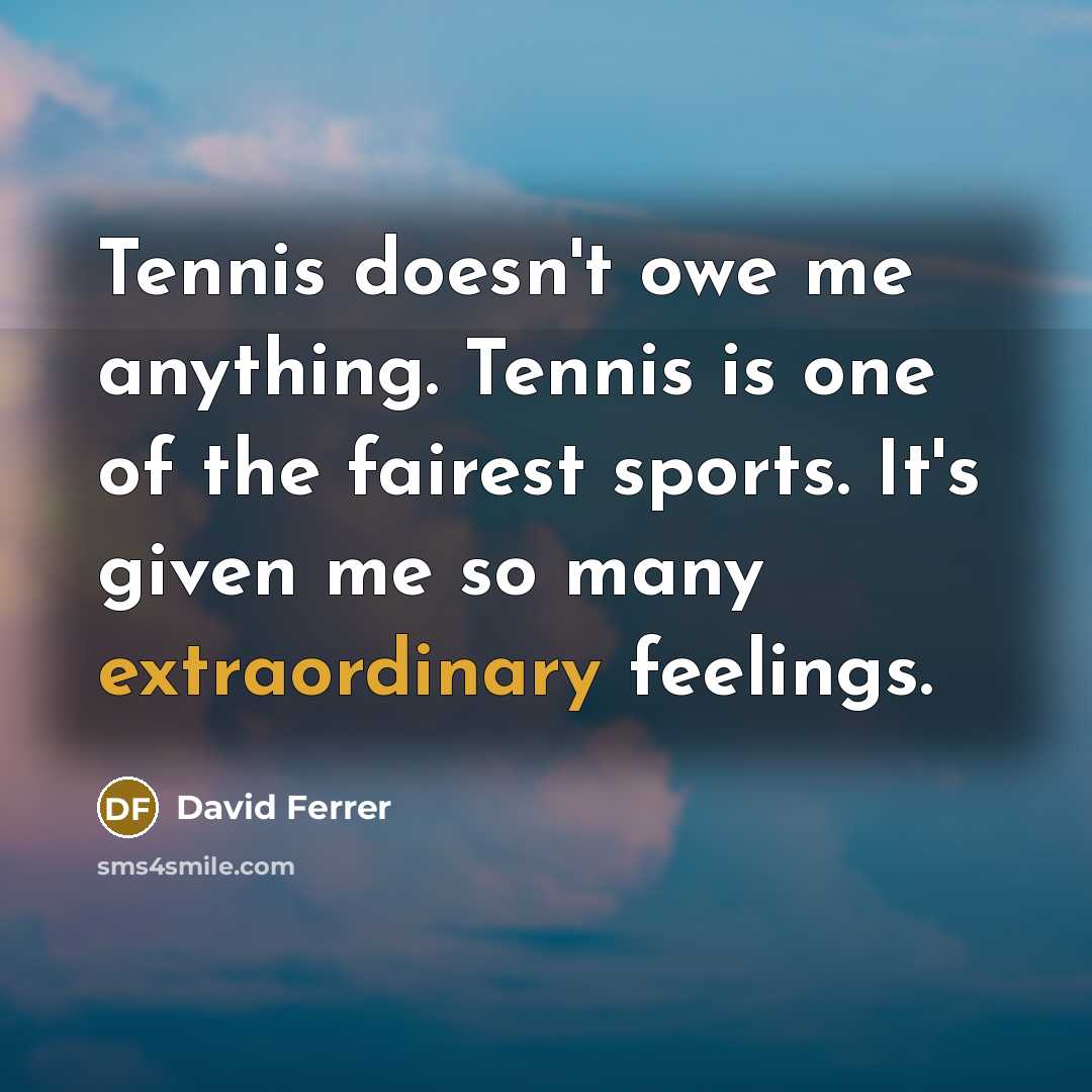 “Tennis doesn't owe me anything. Tennis is one of the…” quote by David Ferrer