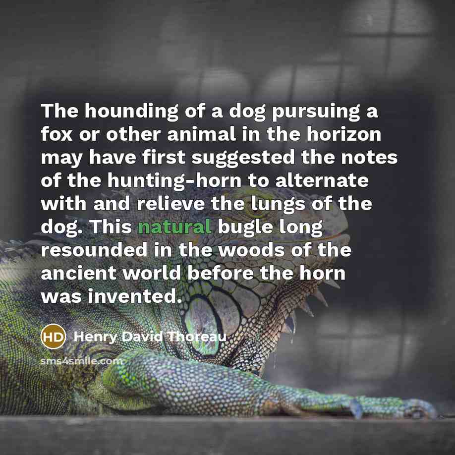 “The hounding of a dog pursuing a fox or other…” quote by Henry David Thoreau