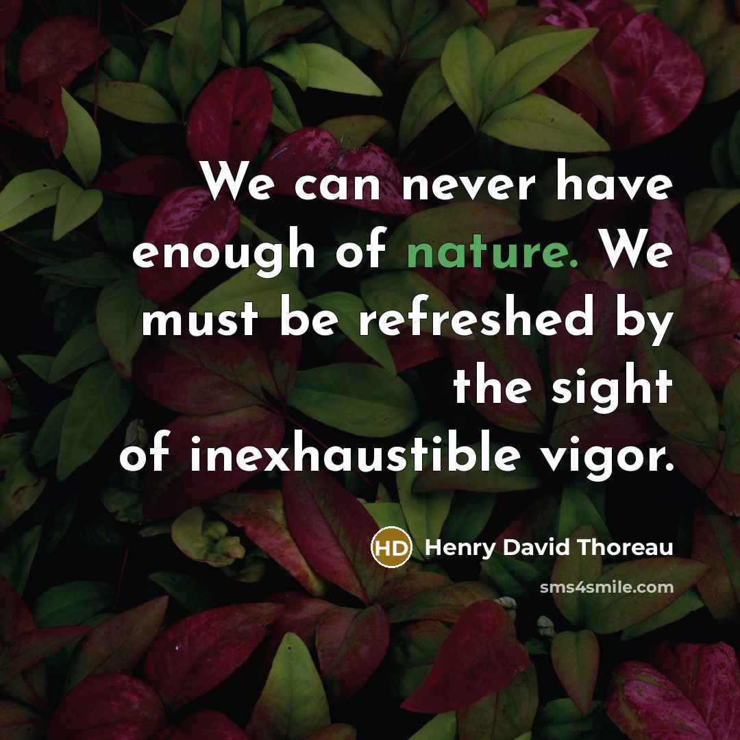 “We can never have enough of nature. We must be…” quote by Henry David Thoreau