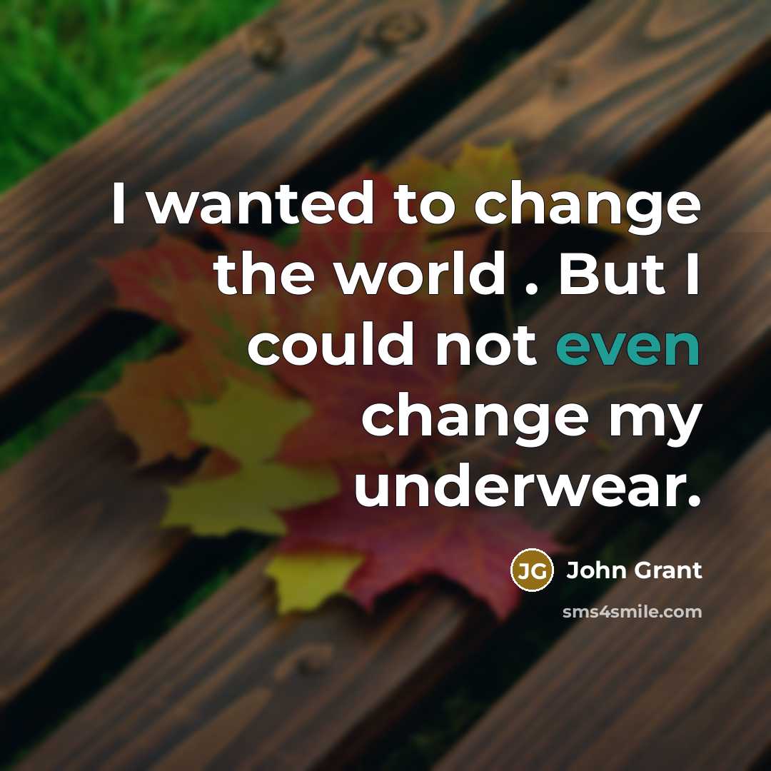 “I wanted to change the world . But I could…” quote by John Grant