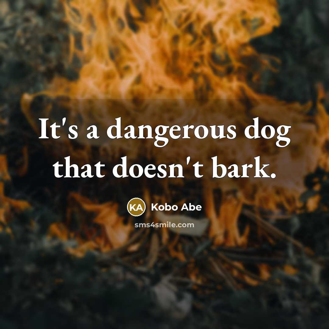 “It's a dangerous dog that doesn't bark.…” quote by Kobo Abe