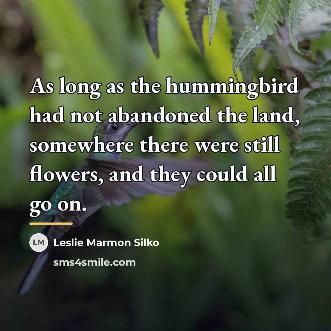 “As long as the hummingbird had not abandoned the land,…” quote by Leslie Marmon Silko