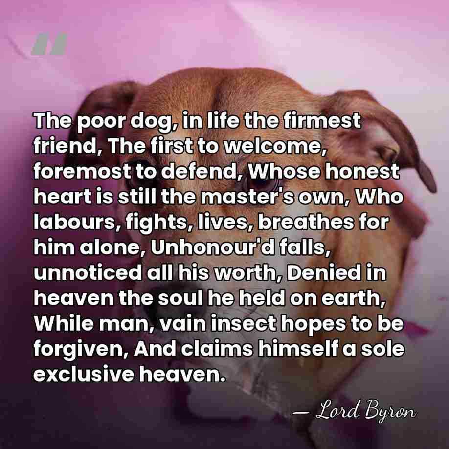 The poor dog, in life the firmest friend, The first to welcome,&hellip; - Lord Byron