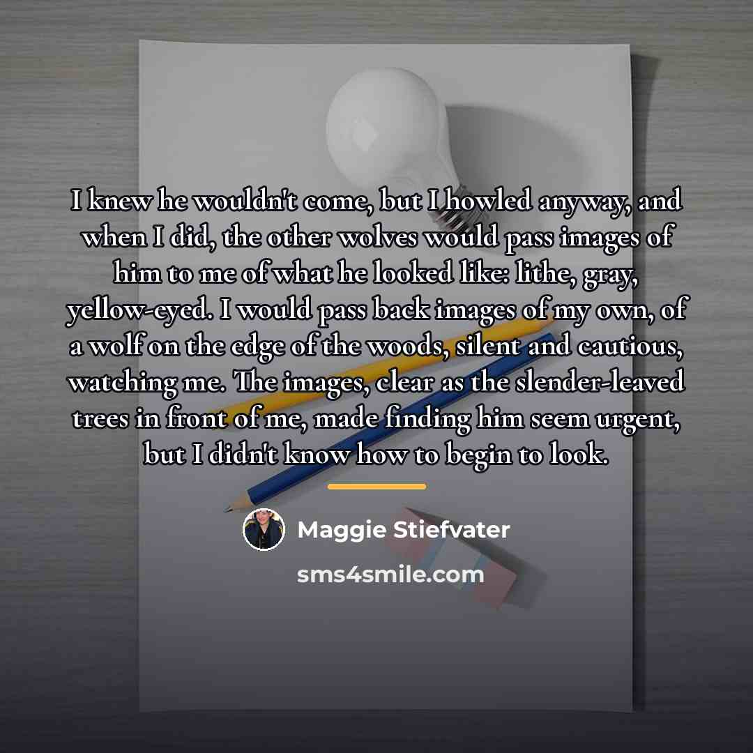 “I knew he wouldn't come, but I howled anyway, and…” quote by Maggie Stiefvater