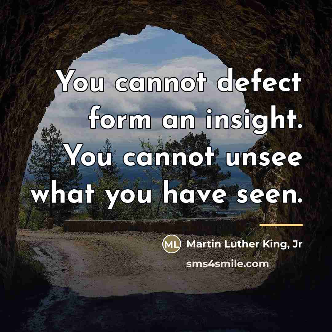 “You cannot defect form an insight. You cannot unsee what…” quote by Martin Luther King, Jr